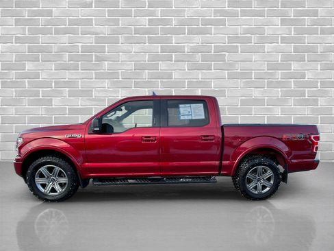Used 2019 Ford F150 XLT w/ Equipment Group 302A Luxury image 2