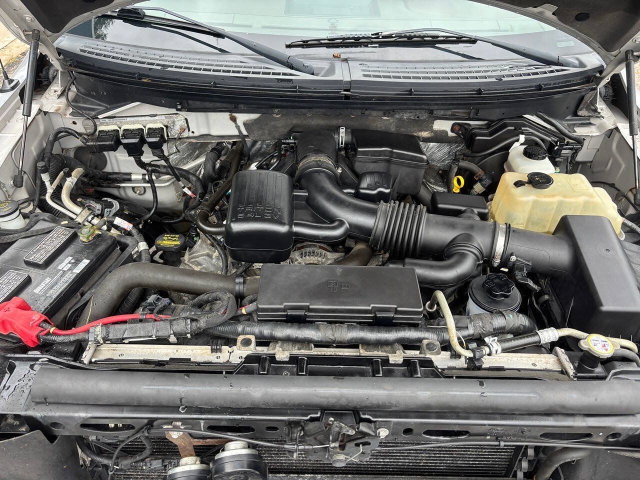 Used 2010 Ford F150 Platinum AWD/4WD image 32