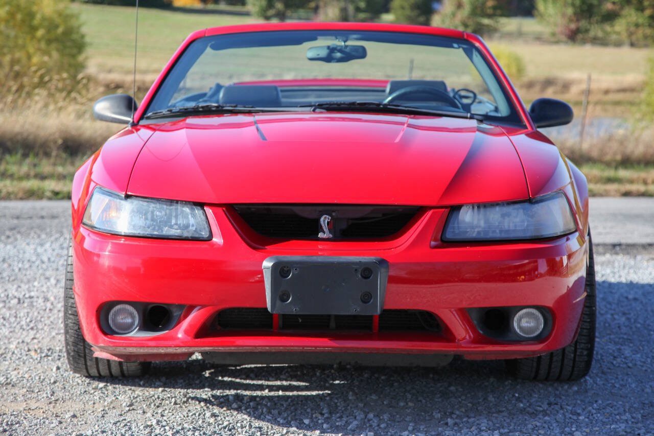 Used 1999 Ford Mustang Cobra RWD image 4