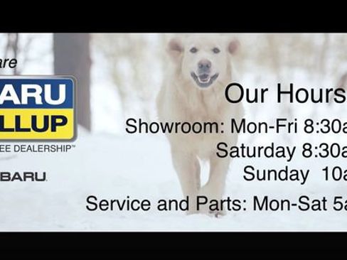 Used 2019 Volkswagen Atlas SE image 13