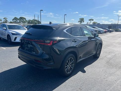 Used 2025 Lexus NX 250 FWD w/ Cold Area Package image 6