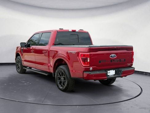 Used 2021 Ford F150 XLT w/ Equipment Group 302A High AWD/4WD image 5