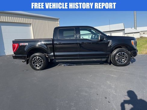Used 2023 Ford F150 XLT w/ Equipment Group 302A High image 3