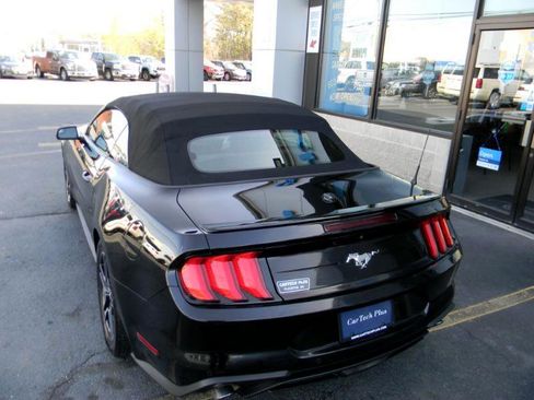 Used 2019 Ford Mustang Premium image 12