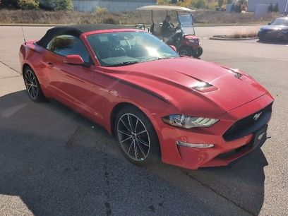 Used 2019 Ford Mustang Premium w/ Equipment Group 201A