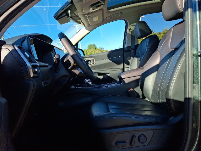 Used 2023 Kia Sorento X-Line EX AWD/4WD image 13