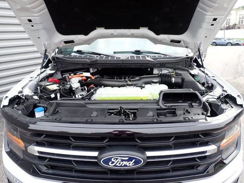 Used 2025 Ford F150 XLT w/ Equipment Group 302A MID AWD/4WD image 16