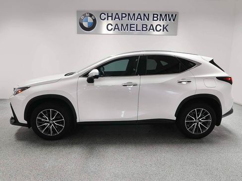 Used 2025 Lexus NX 350h AWD w/ Cold Area Package image 3