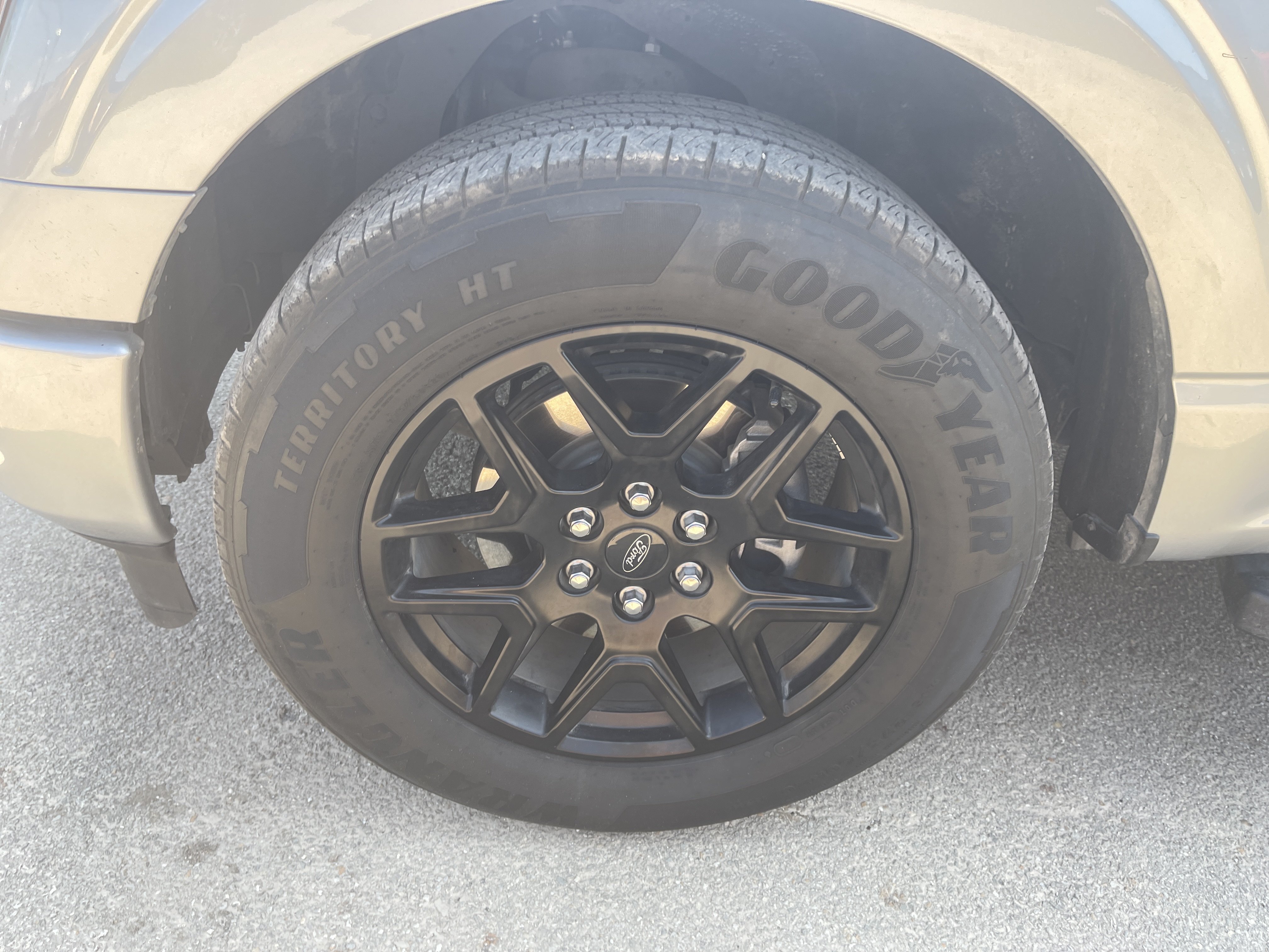Used 2024 Ford F150 STX w/ STX Black Appearance Package RWD image 11