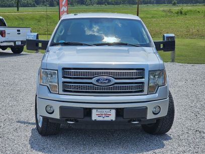 Used 2010 Ford F150 Platinum