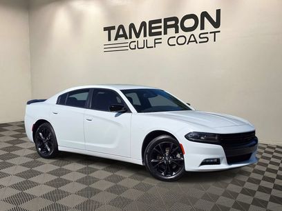 Used 2023 Dodge Charger SXT w/ Blacktop Special Edition