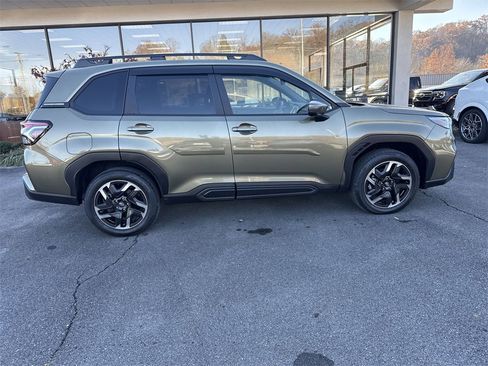 Used 2025 Subaru Forester Limited image 4