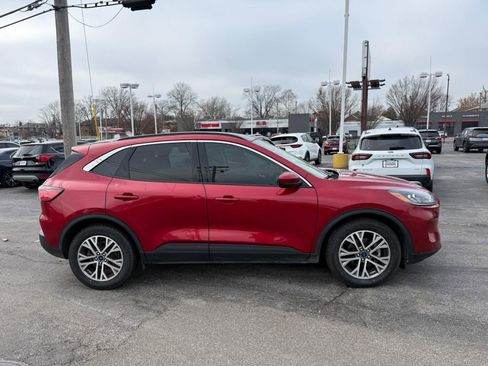 Used 2022 Ford Escape SEL image 5