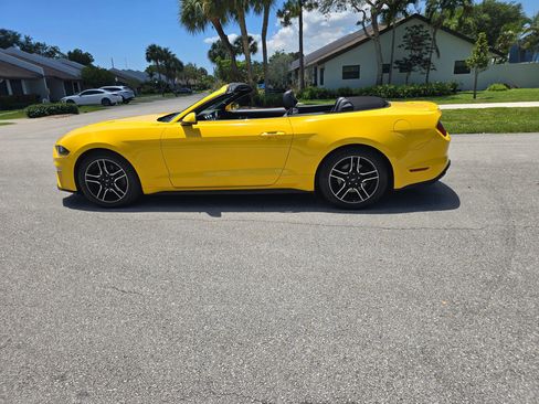Used 2018 Ford Mustang Premium w/ Equipment Group 201A RWD image 8