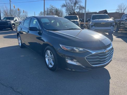 Used 2024 Chevrolet Malibu LT image 7