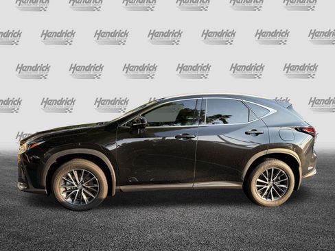 Used 2024 Lexus NX 250 FWD image 6