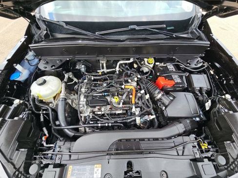 Used 2023 Ford Bronco Sport Big Bend w/ Convenience Package image 6