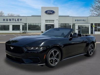 Used 2024 Ford Mustang Premium