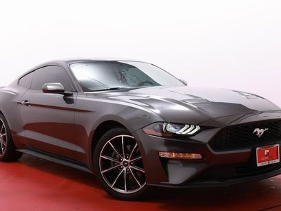 Used 2019 Ford Mustang Coupe w/ Equipment Group 101A