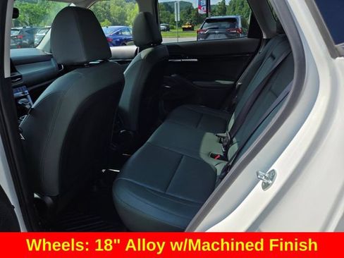 Used 2024 Kia Seltos SX w/ SX Sunroof Package AWD/4WD image 14