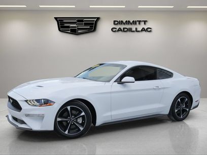 Used 2019 Ford Mustang Coupe