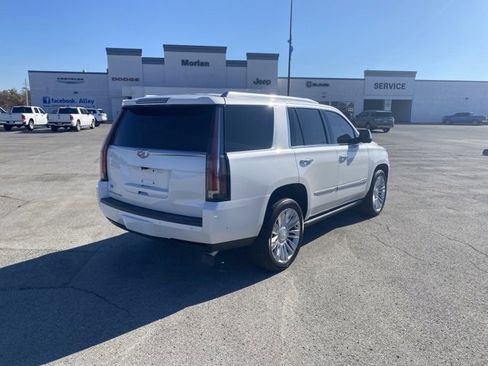 Used 2019 Cadillac Escalade Platinum image 6