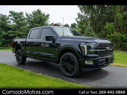 Used 2025 Ford F150 Platinum AWD/4WD image 1