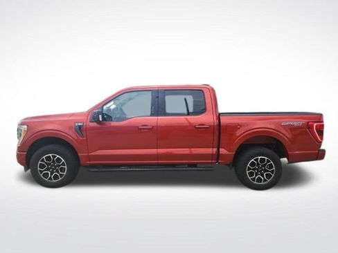 Used 2023 Ford F150 XLT w/ Equipment Group 302A High AWD/4WD image 5