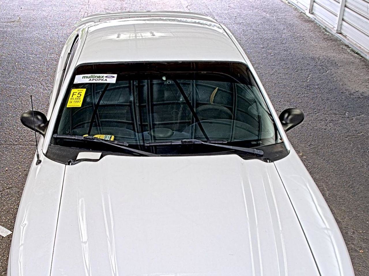 Used 1997 Ford Mustang Cobra RWD image 3