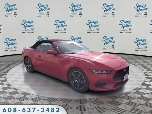 Used 2024 Ford Mustang Premium RWD image 3
