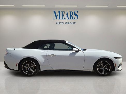 Used 2024 Ford Mustang Premium image 6