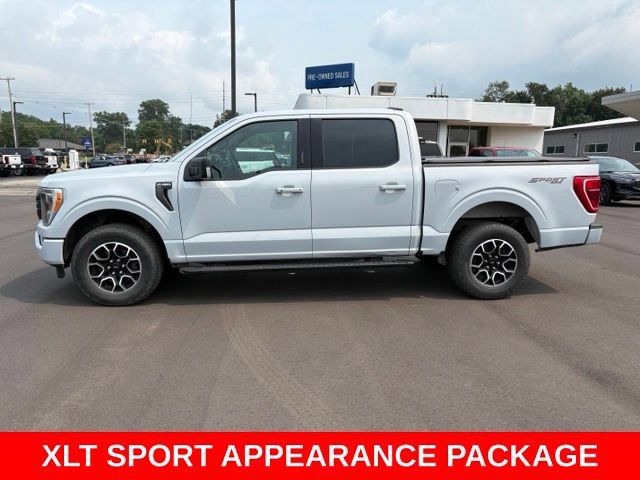 Used 2021 Ford F150 XLT w/ Equipment Group 302A High AWD/4WD image 2
