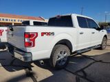 Used 2020 Ford F150 XLT w/ Equipment Group 302A Luxury image 3
