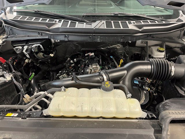 Used 2025 Ford F150 XLT w/ Equipment Group 301A Standard AWD/4WD image 9