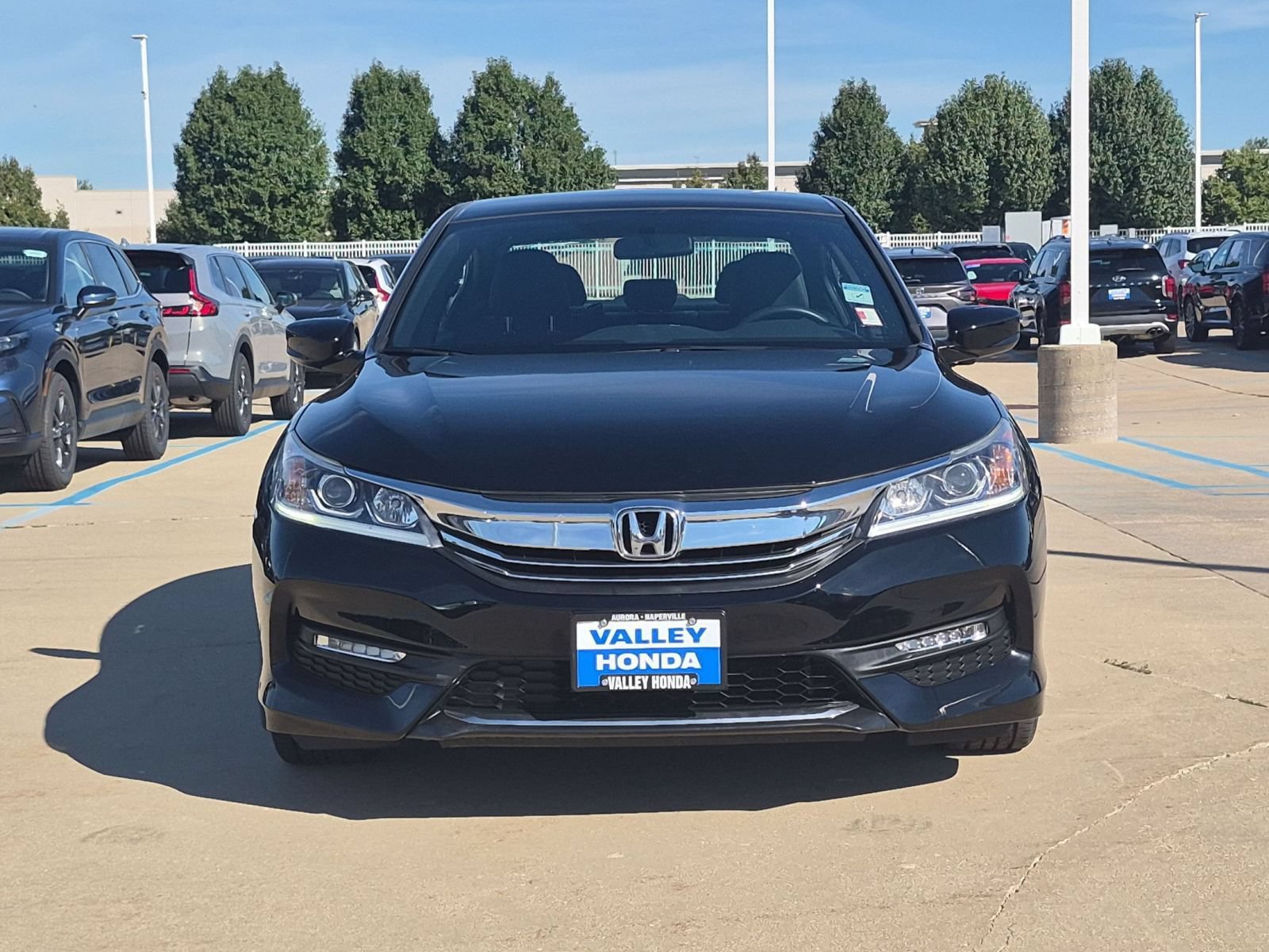 Used 2016 Honda Accord Sport image 4