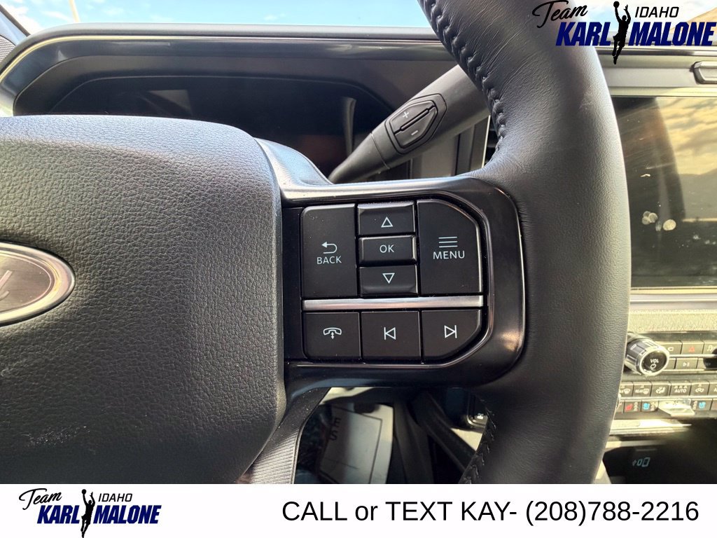Used 2025 Ford F350 Platinum w/ Tremor Off-Road Package AWD/4WD image 69