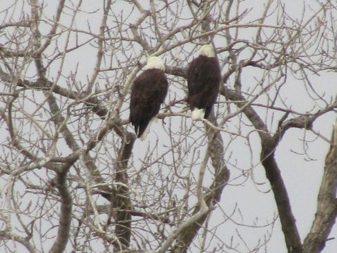 New 2026 Ford Escape ST-Line w/ Tech Pack #1 image 29