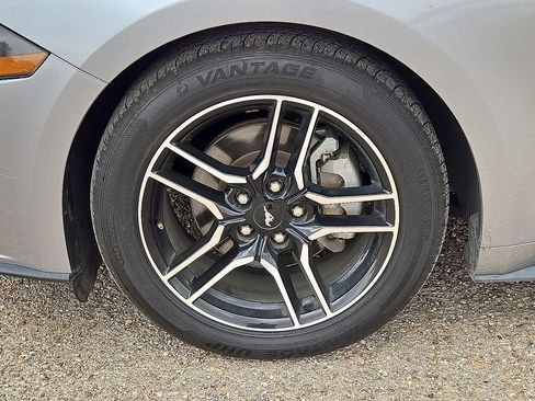 Used 2023 Ford Mustang Premium image 12