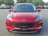Certified 2021 Ford Escape SE w/ Cold Weather Package image 2