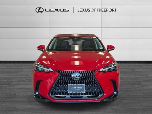 Used 2025 Lexus NX 350 350 Premium w/ Cold Area Package image 8