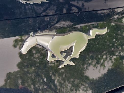 Used 2024 Ford Mustang Premium image 7