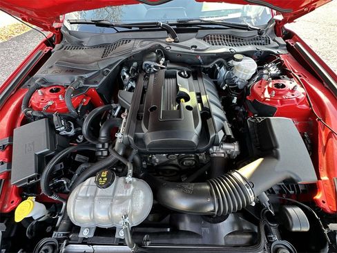 Used 2019 Ford Mustang Premium w/ Equipment Group 101A image 24