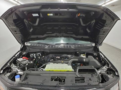 New 2025 Ford F150 XLT w/ Equipment Group 301A Standard image 11