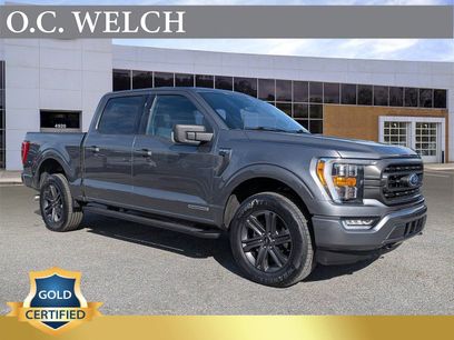 Certified 2023 Ford F150 XLT w/ Equipment Group 302A High