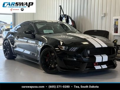 Used 2019 Ford Mustang Shelby GT350 w/ Technology Package
