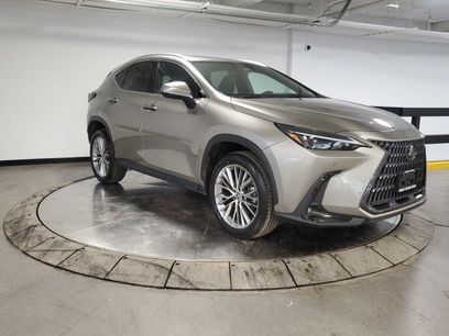 Used 2023 Lexus NX 350h AWD