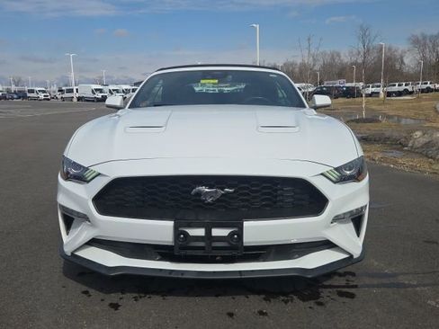 Used 2023 Ford Mustang Premium image 18