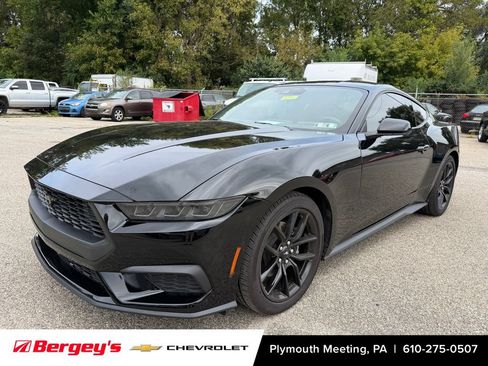 Used 2026 Ford Mustang Coupe w/ Mustang Nite Pony Package RWD image 5