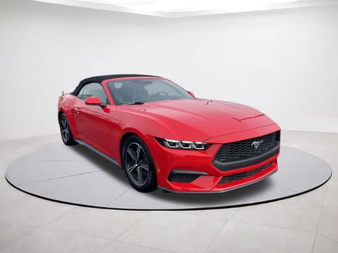 Used 2025 Ford Mustang Premium RWD image 1