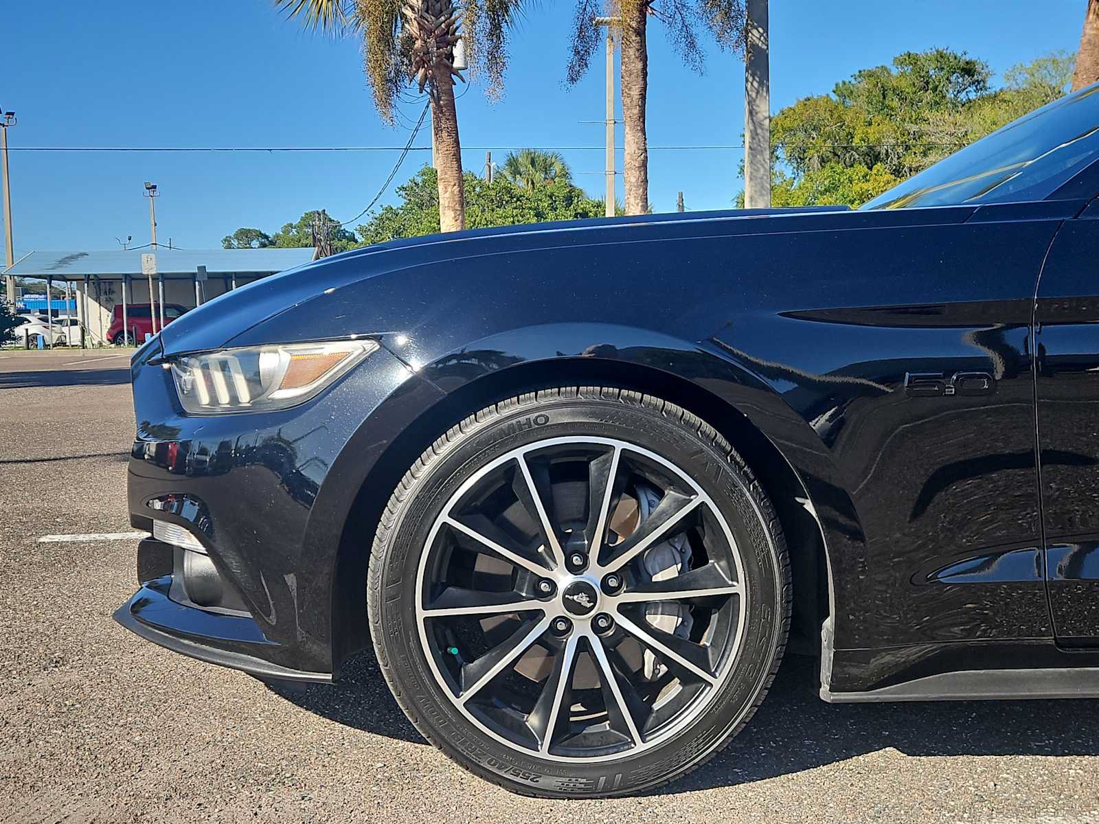 Used 2015 Ford Mustang GT Premium w/ Equipment Group 401A RWD image 19